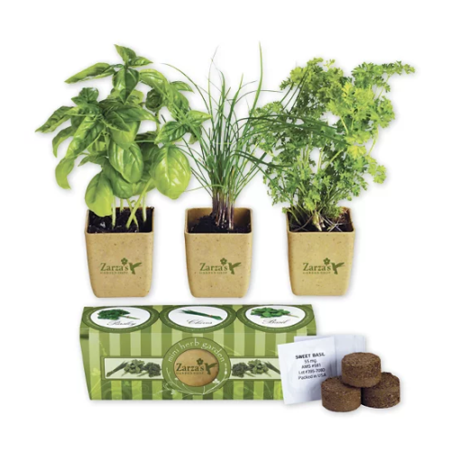 Branded Growpot Eco-Planter Herb 3-Pack 