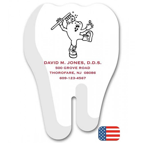 Tooth Magnet Tooth Magnet
