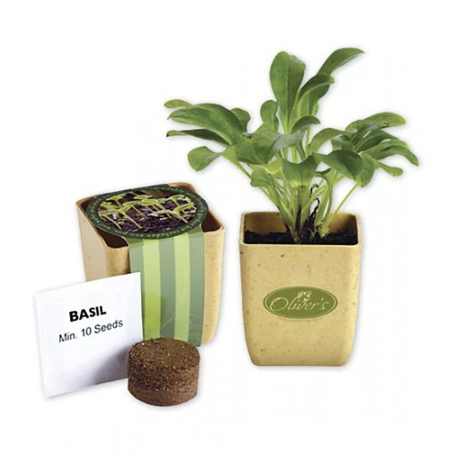 Flower Pot Set With Basil Seeds Flower Pot Set With Basil Seeds