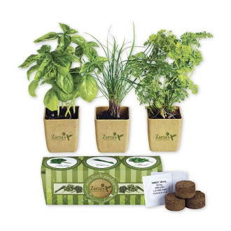 Growpot Eco-Planter Herb 3-Pack