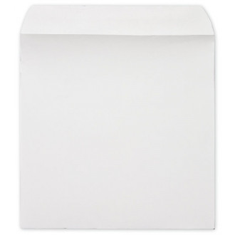 Wall Calendar Mailing Envelopes