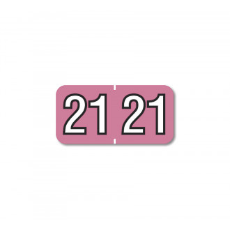 2021 Barkley End Tab Compatible Year Label Pink