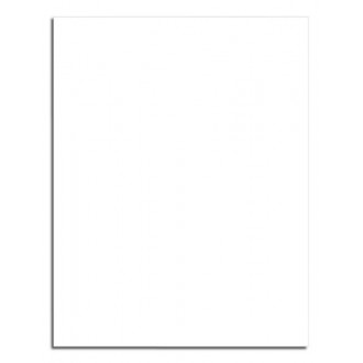Blank Permanant Laser Labels