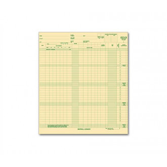 Expense/Payroll Ledger