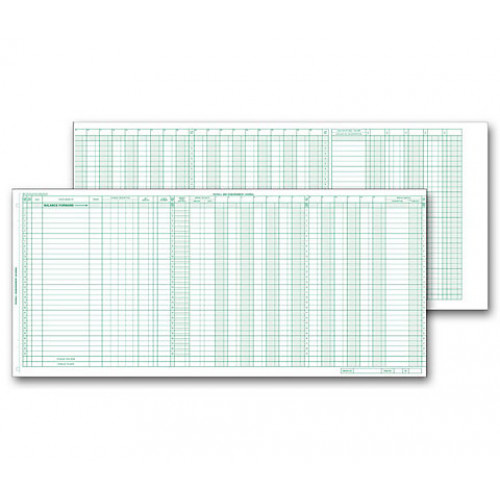 Payroll/Expense Journal 