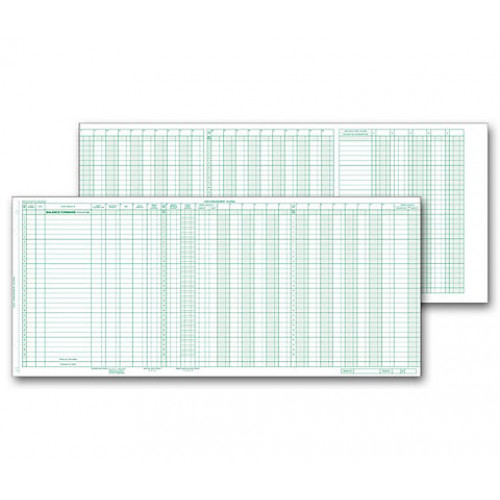 Accounts Payable Journal 