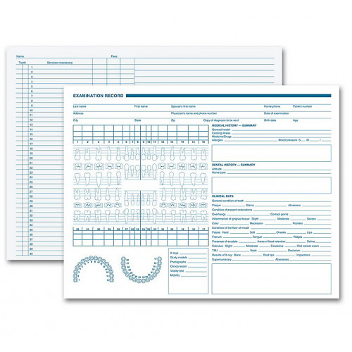 Dental Exam Record Anatomic Diagrams Horizontal Format Dental Exam Record Anatomic Diagrams Horizontal Format