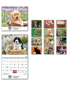 2023 Puppies & Kittens Wall Calendar 