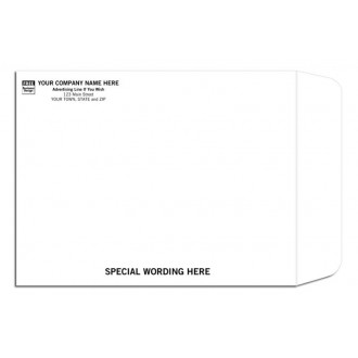Large Tyvek Envelopes