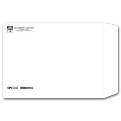 Large Sized Business Envelope