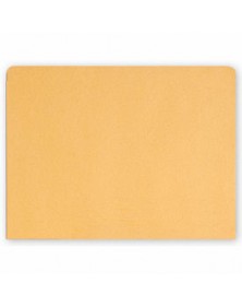 File Pocket Envelopes, 40lb. Kraft, Non - Printed (Item #1076) - Business Checks Supplies  - Business Checks | Printez.com 