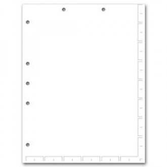 Chart File Divider Sheets, Unruled