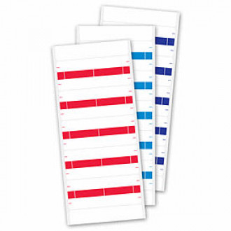 Economy Name/Account Labels
