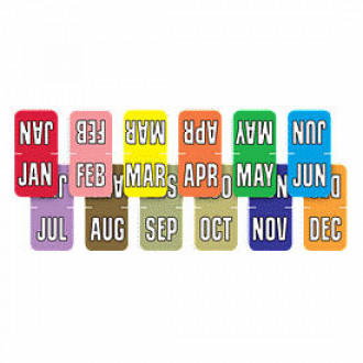 Top Tab Month Aging Labels
