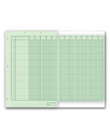 Columnar Work Sheets 21126 accounting forms, accounting ledger sheets, accounting forms for small business