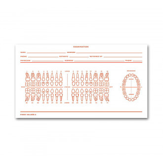 Dental Exam Record Slips Numbered Teeth System C - D86C