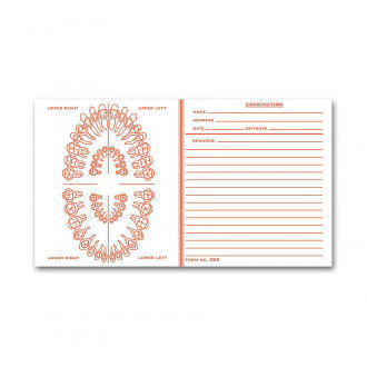Dental Exam Record Slips Unnumbered Teeth 4 1/2" X 8"