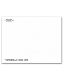  1013EW, White Mailing Envelope, Open End  first-class Tyvek envelopes, personalized first-class envelopes