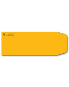 Small Brown Mailing Envelopes first-class Tyvek envelopes, personalized first-class envelopes