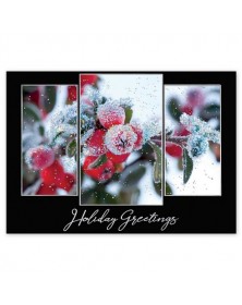 Morning Frost Holiday Cards 