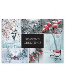 Winter Charm Holiday Cards 