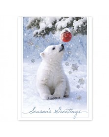 Beary Amused Holiday Cards 