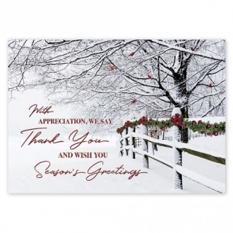 Winter Wishes Holiday Cards