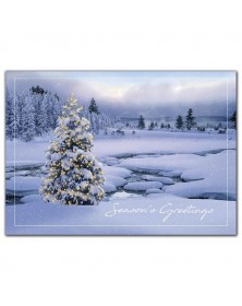 Breathtaking Holiday Cards 
