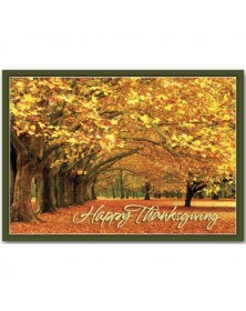 Canopy of Gold Thanksgiving Cards 