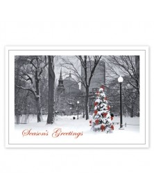 Boston Splendor Christmas Cards 