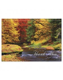 Splashes Of Color Thanksgiving Cards 