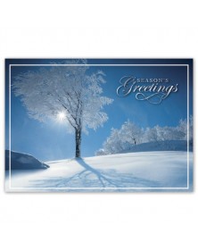Sky Blue Holiday Cards 