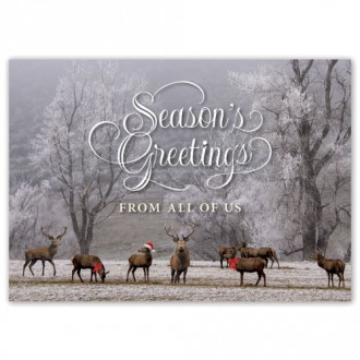 Woodland Magic Holiday Cards
