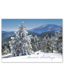 Fresh View Holiday Greeting Cards 