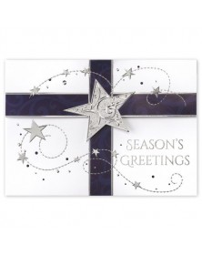 Star Sprinkled Gift Holiday Greeting Card 