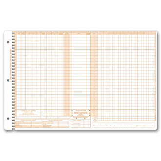 Daily Control Sheets, Pegmaster, Payment