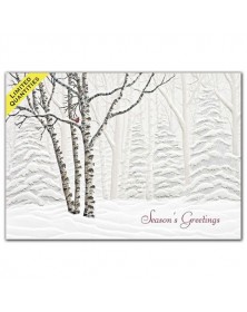 Serene View Holiday Cards 