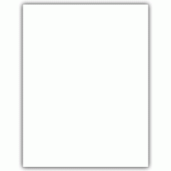 Laser 1099 BLANK with Multiple Backers, Bulk