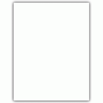 Laser 1099 BLANK with Multiple Backers, Bulk