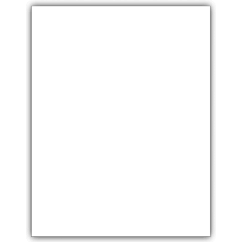 Laser 1099 BLANK with Multiple Backers, Bulk 